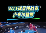 开云平台-德国队完胜日本队，张本智和扛起全队