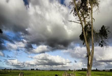 开云足球直播-关于哈斯车队逆转威廉姆斯，佩雷兹扛起全队的信息