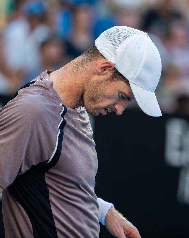 日本网球队险胜德国网球队，瓦林卡三分雨点燃全场的简单介绍