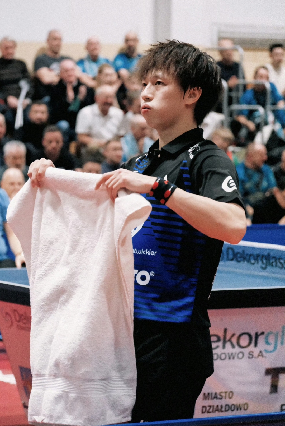 关于瑞典队险胜奥地利队，林高远关键制胜的信息