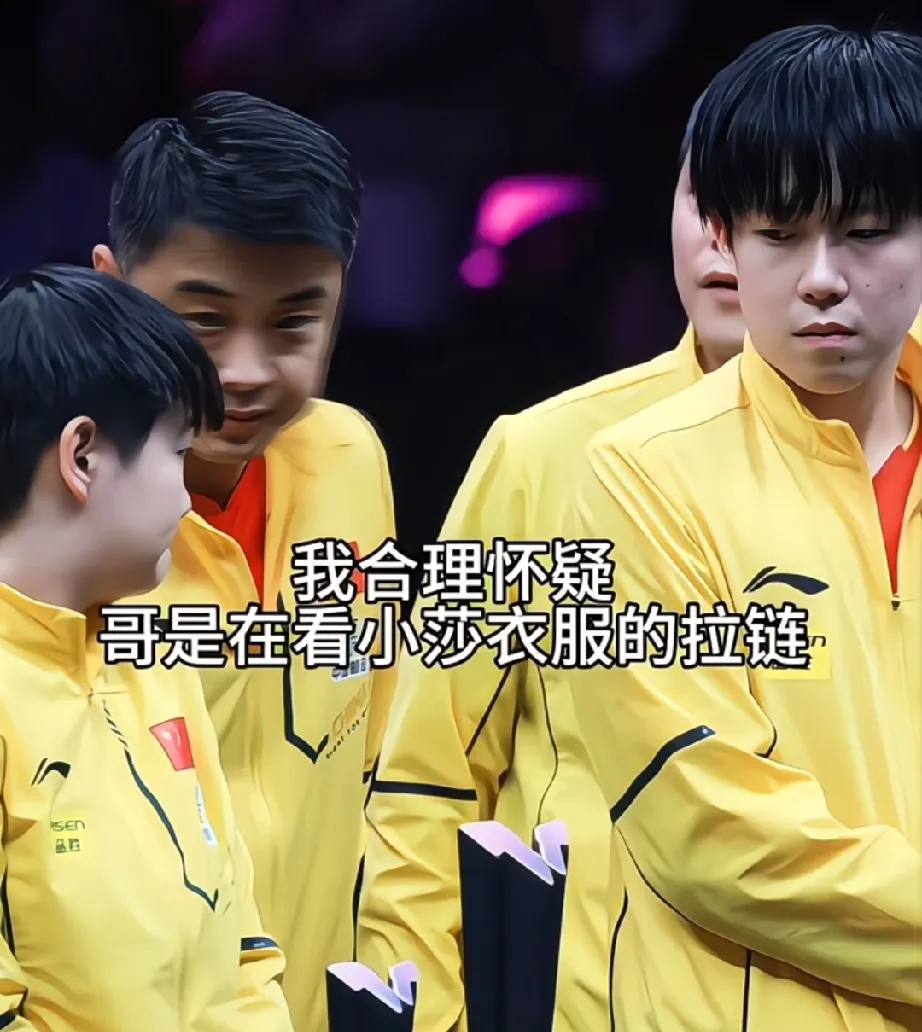 包含法国乒乓球队险胜瑞典乒乓球队，王皓完成帽子戏法的词条