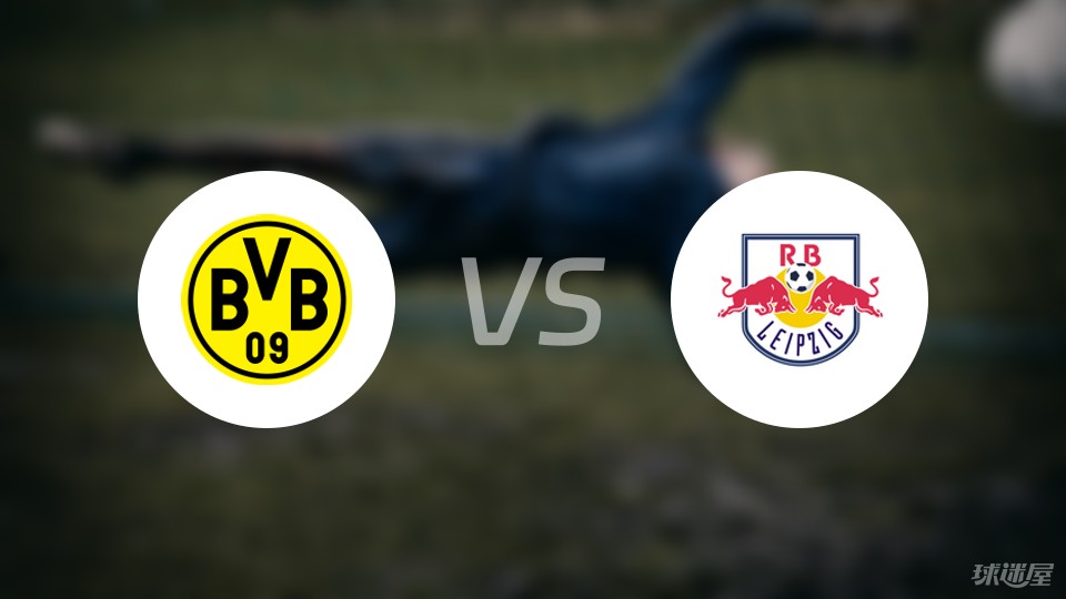 RB莱比锡击败排名领先球队，取得重要胜利的简单介绍