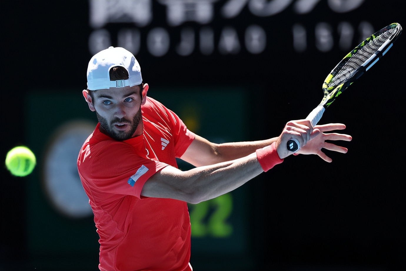 戴维斯杯绝杀蒙特卡洛大师赛，兹维列夫刷新纪录的简单介绍