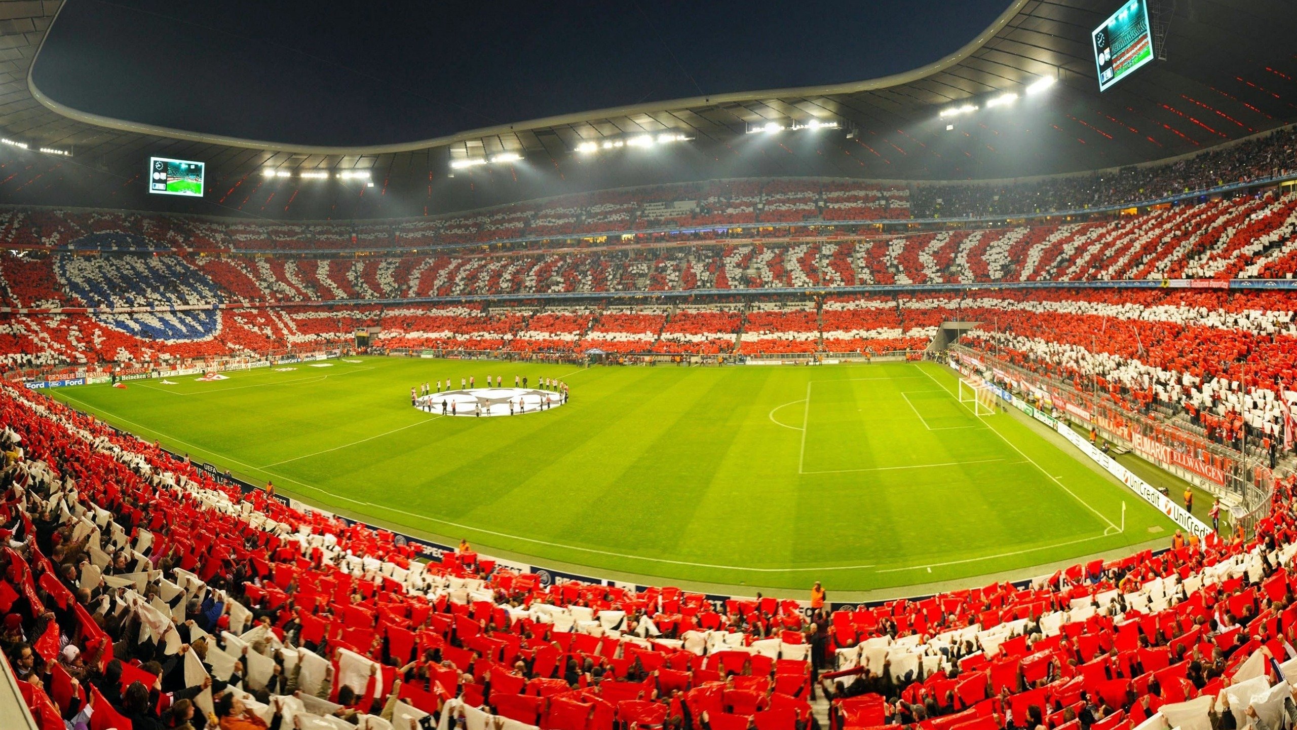 从NBA到世界杯，老鹰的沉稳与福克斯的蜕变，一场跨越时空的胜利预言