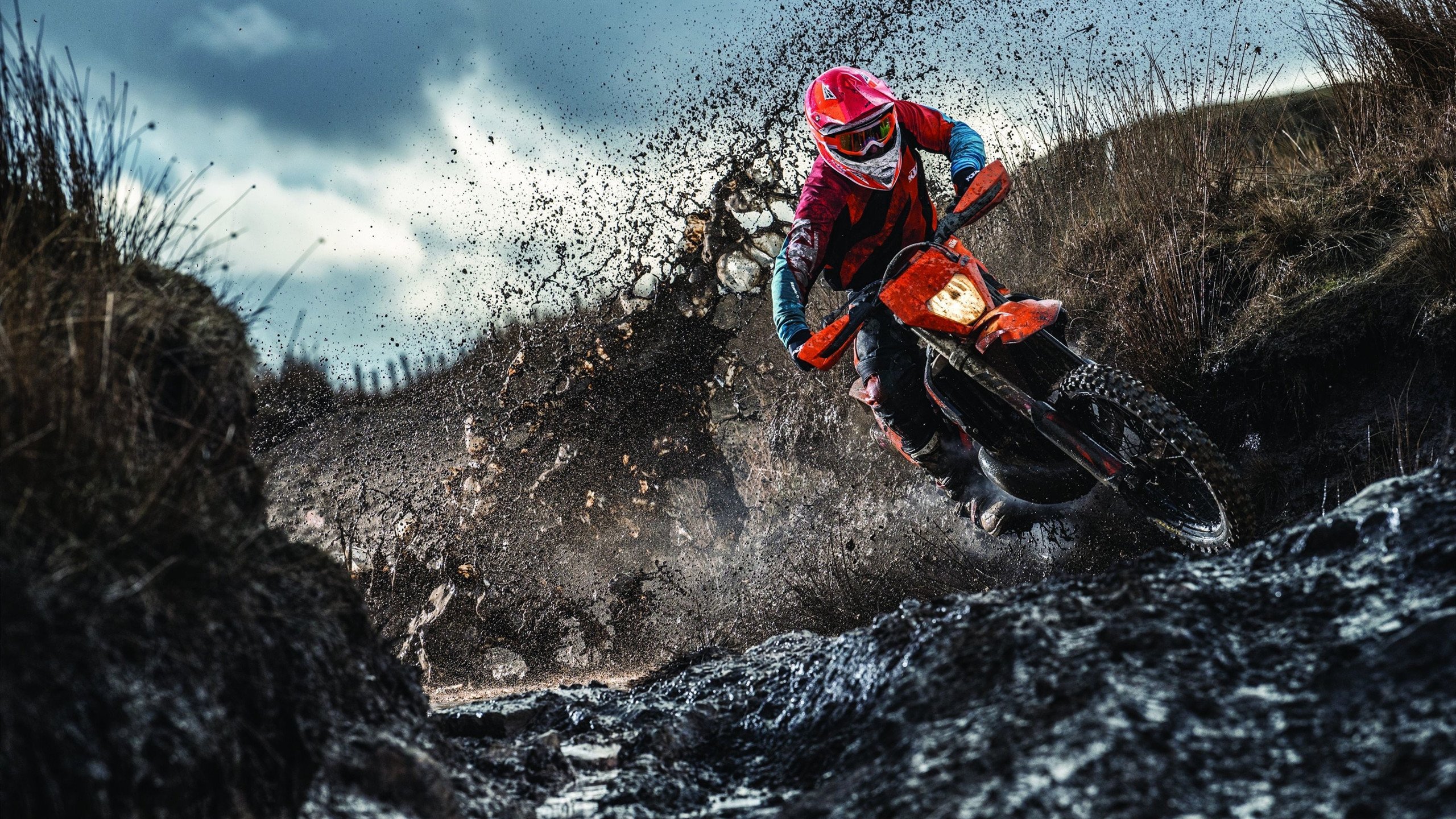 奥运周期关键战之夜,小贾伦关键节点连续得分,铸就传奇时刻